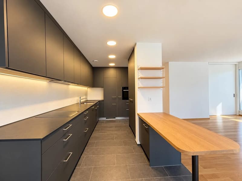 4.5-Zimmer-Penthouse mit Dachterrasse in Therwil mieten (3)