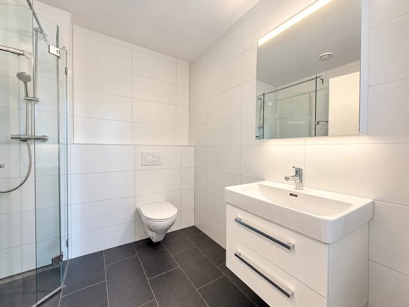 4.5-Zimmer-Penthouse mit Dachterrasse in Therwil mieten (5)