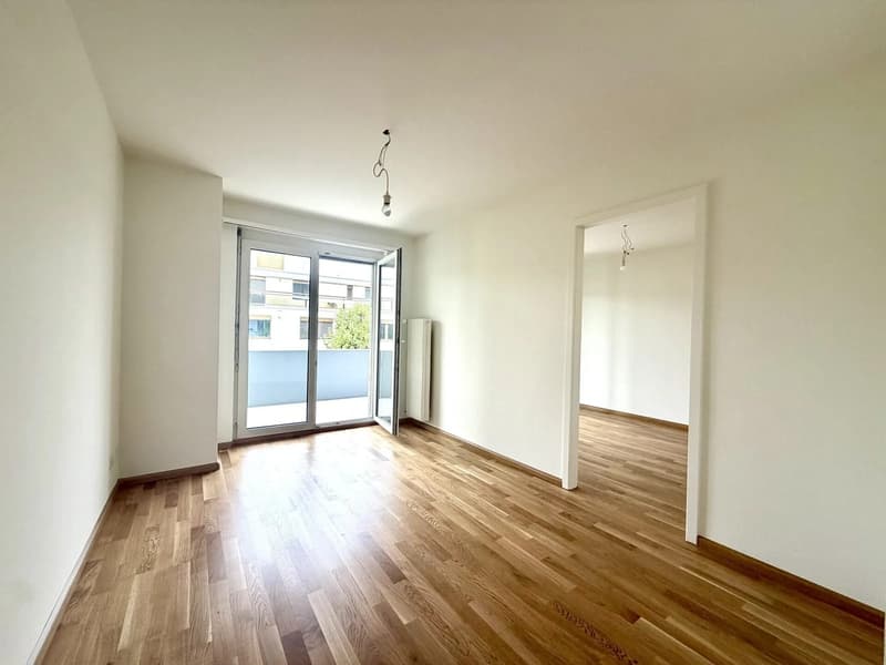 4.5-Zimmer-Dachwohnung mit Balkon und Weitblick in Reinach mieten (5)