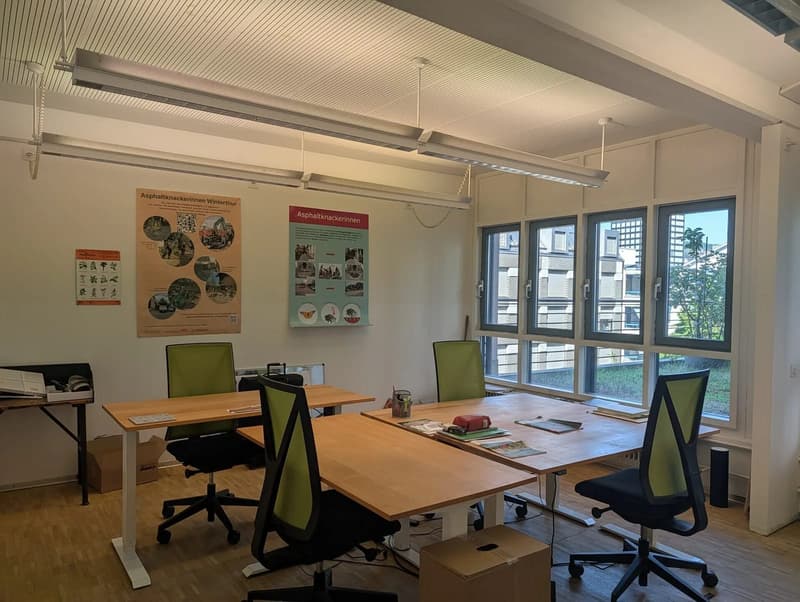 Helle Bürofläche mit 165 m² in Zürich-Kreis 5 zu mieten (2)