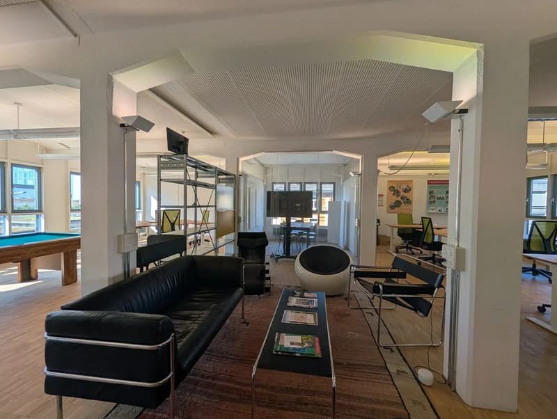 Helle Bürofläche mit 165 m² in Zürich-Kreis 5 zu mieten (5)