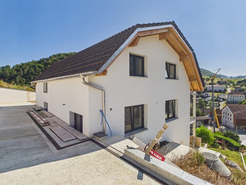 7.5-Zimmer-Neubau mit Weitblick in Bärschwil kaufen (2)