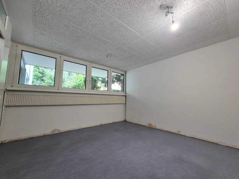 Büro mit verglaster Veranda im Grünen - 180 m² in Aarau mieten (4)