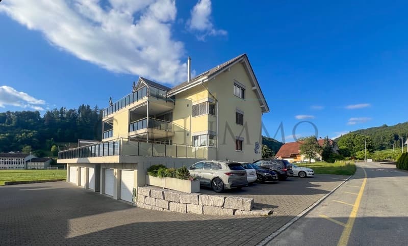 Traumhafte Attika Wohnung mit Doppelgarage und direktem Liftzugang. (2)