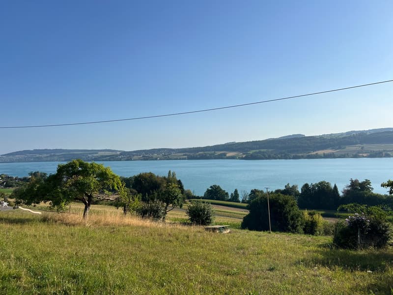 Einmalige Gelegenheit: Bauland mit unverbaubarer Seesicht am Hallwilersee (1)