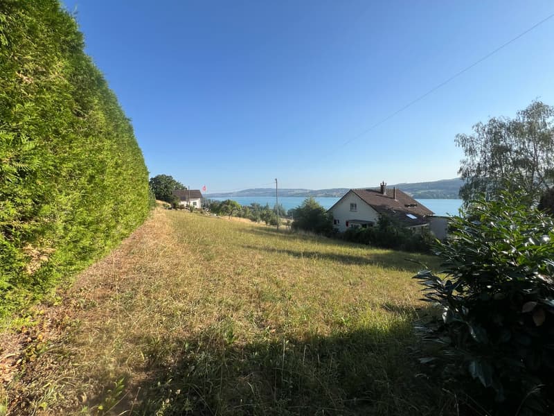Einmalige Gelegenheit: Bauland mit unverbaubarer Seesicht am Hallwilersee (4)