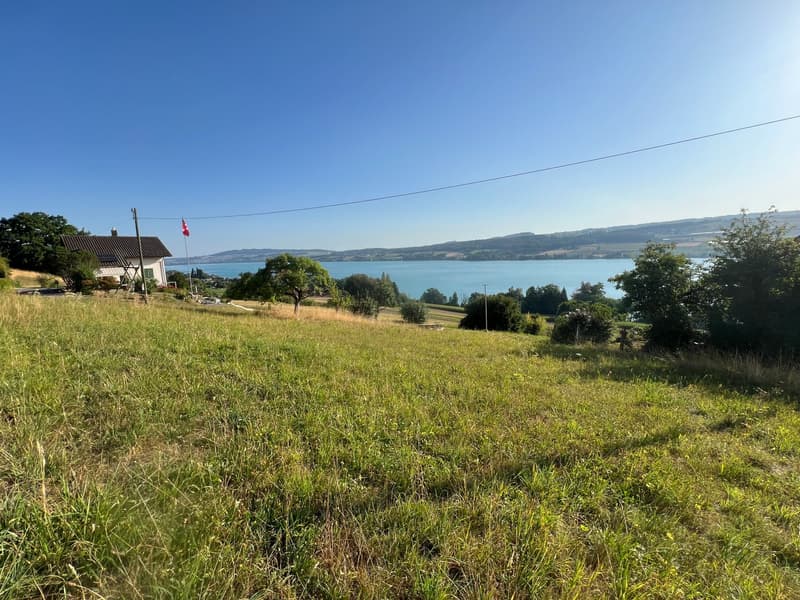 Einmalige Gelegenheit: Bauland mit unverbaubarer Seesicht am Hallwilersee (7)