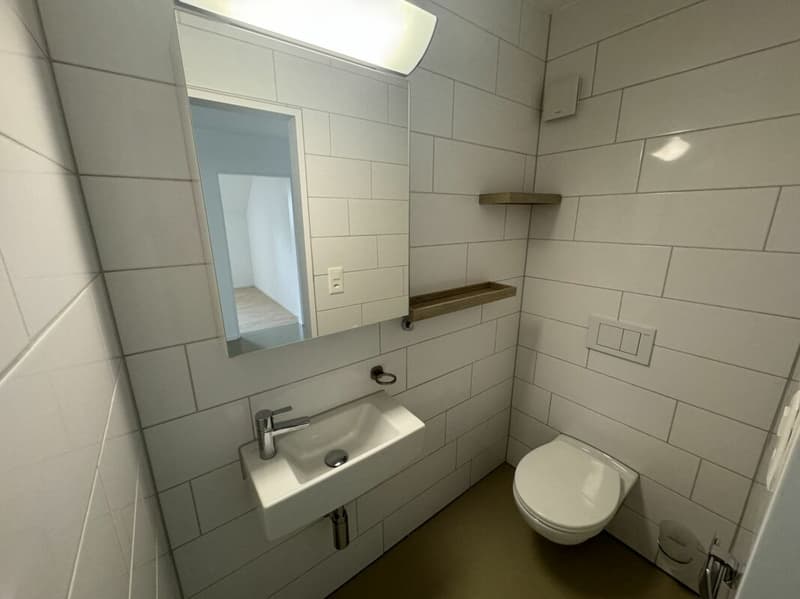 Modernized 5.5-room maisonette apartment (6)