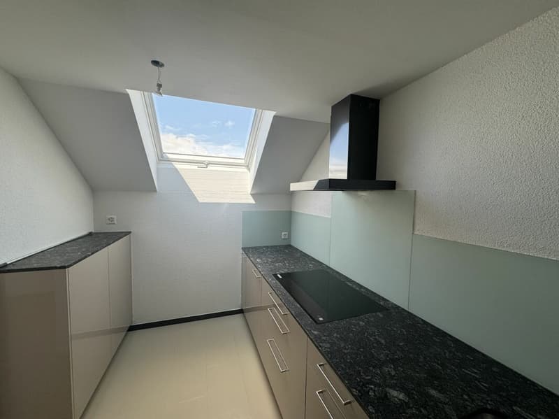 Modernized 5.5-room maisonette apartment (4)