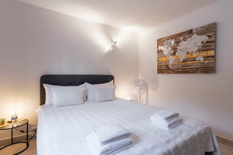 Chambre meublée 21 m² avec vue sur le lac, 4 km de Nyon, contrat de 6 mois (3)