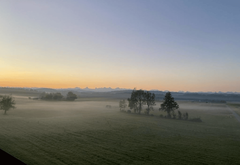 field with fog, mountains in the distance, a few trees