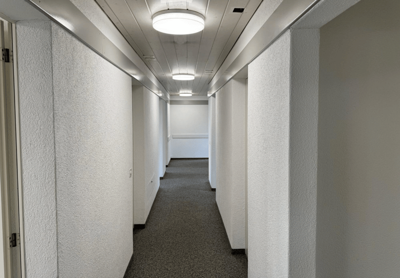 Empty hall way, gray carpet, bright white walls, white ceiling, ceiling lights