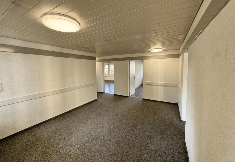 Empty room, white walls, gray carpet, two round ceiling lights