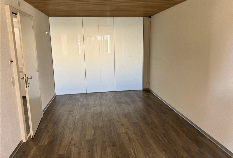 empty room, wooden floor, white walls, glass doors, closet
