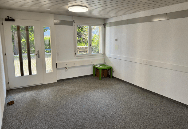 empty room, double doors, windows, table, ceiling light