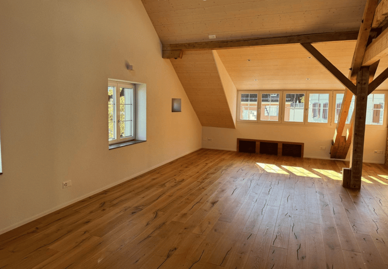 Moderne exklusive Loft-Wohnung mit Charme und Bergblick in Sevelen (24)
