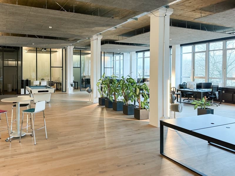 wooden floor, tables, chairs, plants, white pillars, glass windows, desks, computer monitors