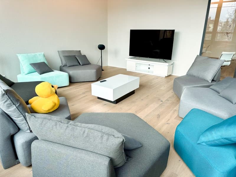 Open living space with multiple seating areas, central TV, light wooden flooring, glass window, and minimalistic decor