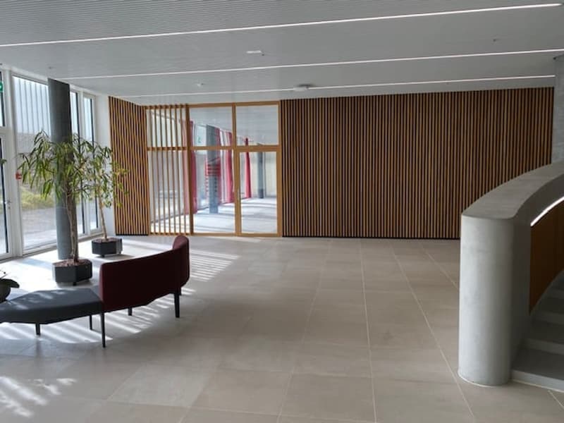 Open area with wooden wall and large window, a bench, and a plant.