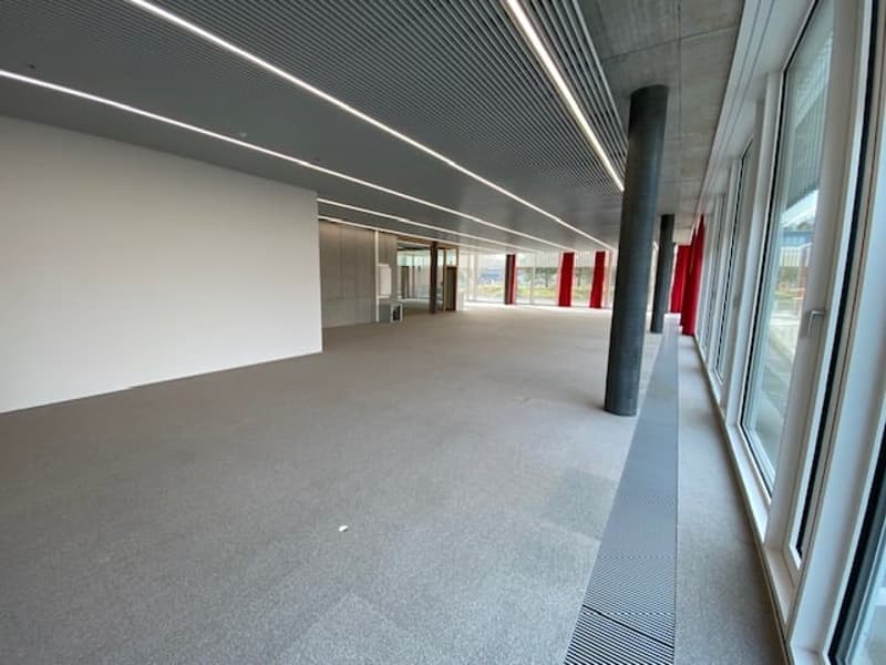 Empty office corridor with white walls, grey carpet, glass windows, central column