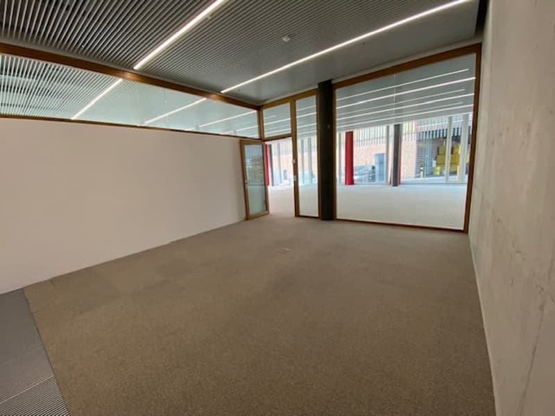large empty room, white walls, glass doors, carpet floor, metal ceiling with lights