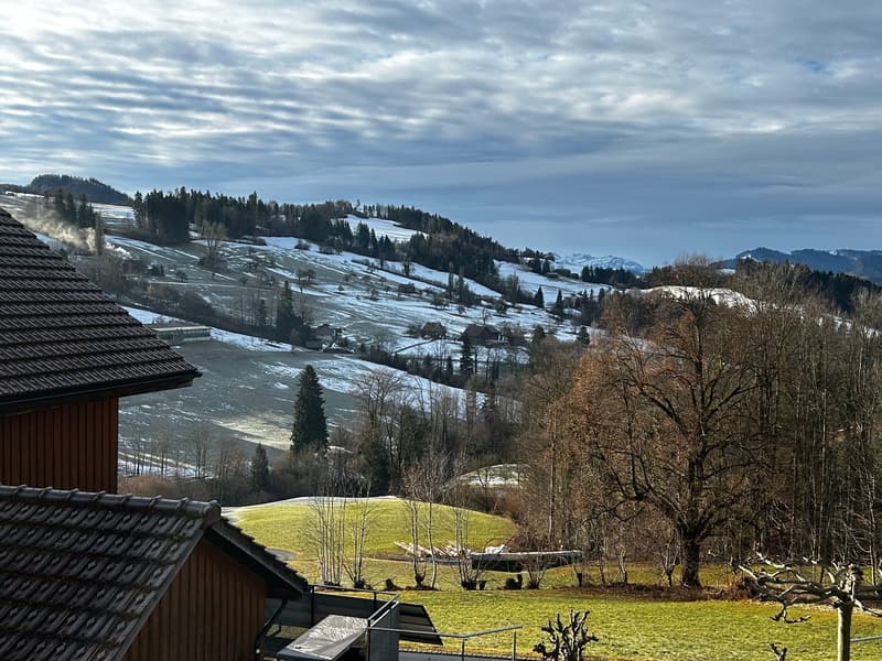 House with brown roof, surrounded by trees, with a view of the snow-covered mountains in the background.
