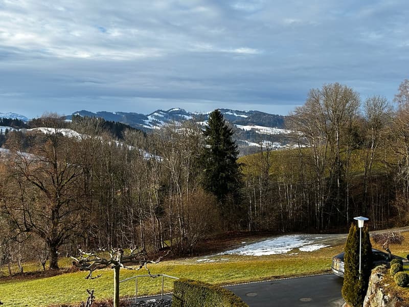 View of a mountain landscape with trees, grass, a driveway with parked car, and a streetlight.