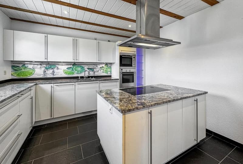 5.5-room apartment and commercial space divisible from 60sqm for rent (10)