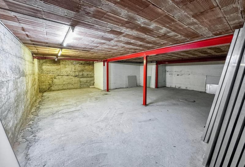 5.5-room apartment and commercial space divisible from 60sqm for rent (33)