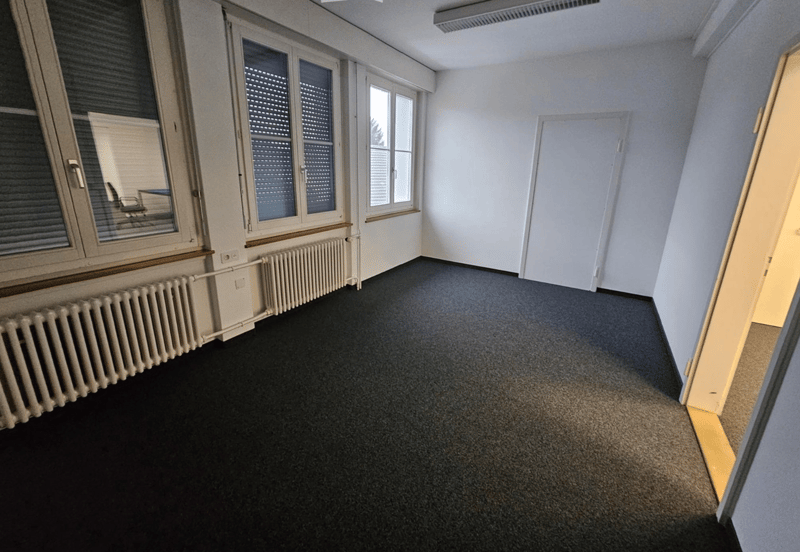 Empty room with carpeted floor, white walls, two windows with radiators, a door.