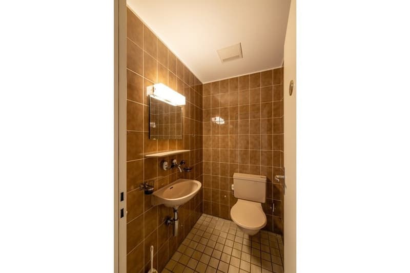 small bathroom with white sink, mirror, toilet, and brown tiles