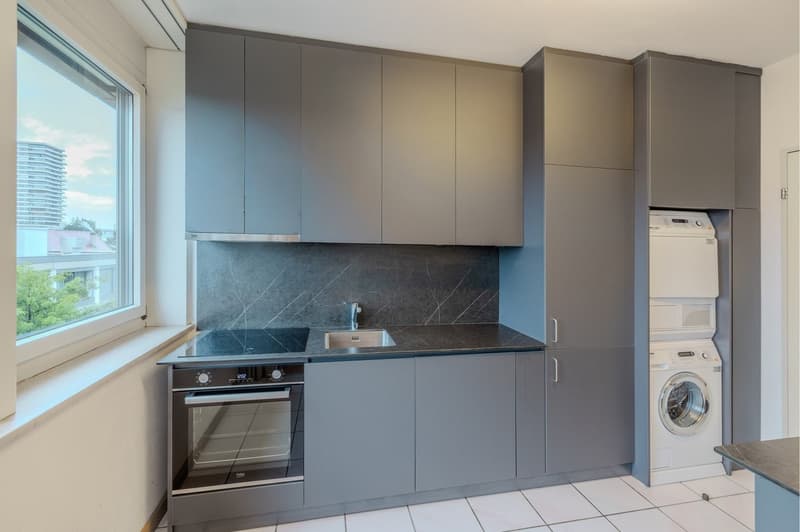 modern kitchen, grey cabinets, granite countertops, integrated oven, dishwasher, washing machine, sink