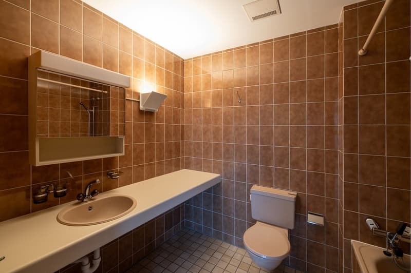 Tiled walls, shower attachment, sink, toilet, shower curtain, mirror with lights, wall-mounted toilet paper holder, soap dish
