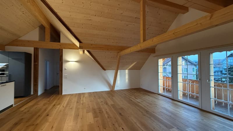 Bella e grande appartamento di 4,5 locali mansardato con comfort moderno (7)