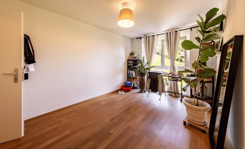 Wooden floor, large window, bookshelf, plant, desk with chair, mirror