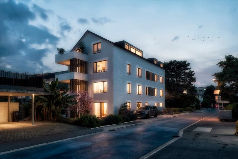 Wohnen Élégance - Neubau 3.5-Zimmer-Wohnung in Allschwil (1)