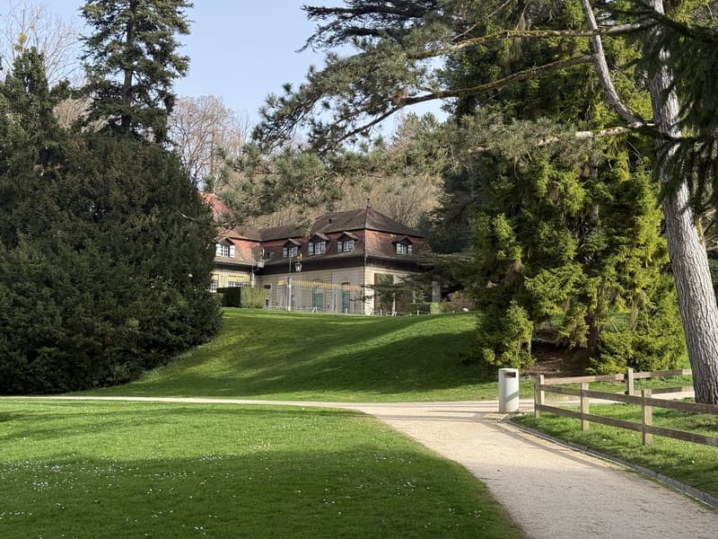 a large grassy garden with tall trees and a concrete pathway leading up to a house