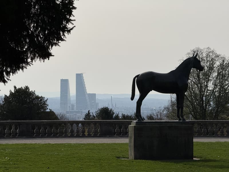 A statue of a horse stands in a large green park with a fenced area, overlooking the cityscape with tall buildings and a mountain in the distance.