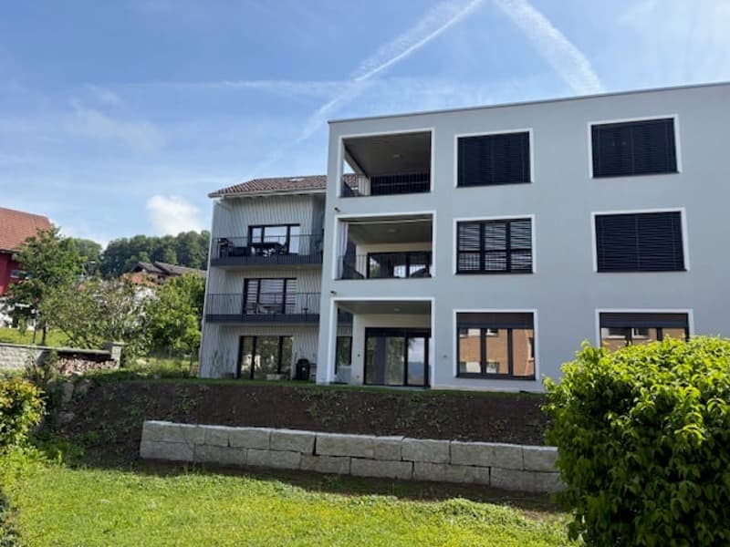 Ultimo appartamento di giardino spazioso 4,5 locali, design interno personalizzabile (6)