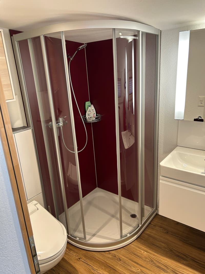 Bathroom with a glass walk-in shower, wooden floor, white sink and mirror, toilet, and a shelf with shower gel bottles