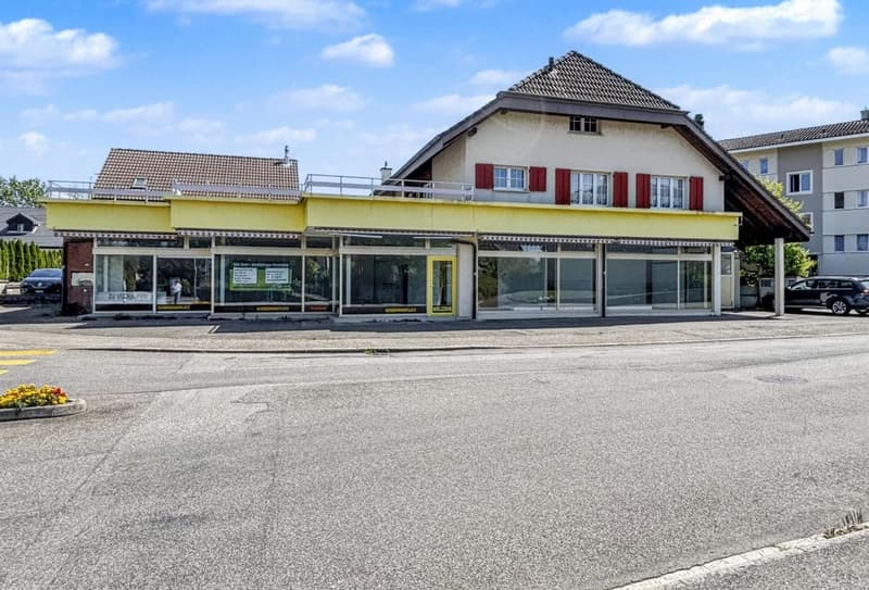 Residential and commercial building as an investment object with 7% return or self-use (25)