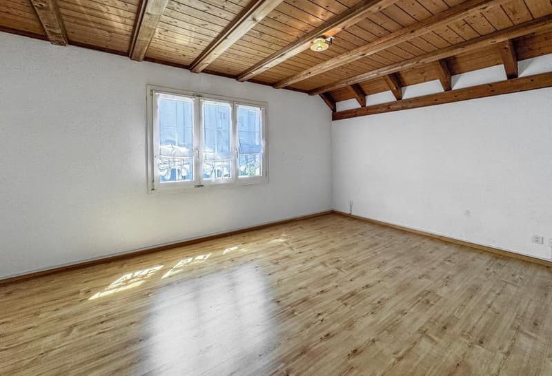 Residential and commercial building as an investment object with 7% return or self-use (18)