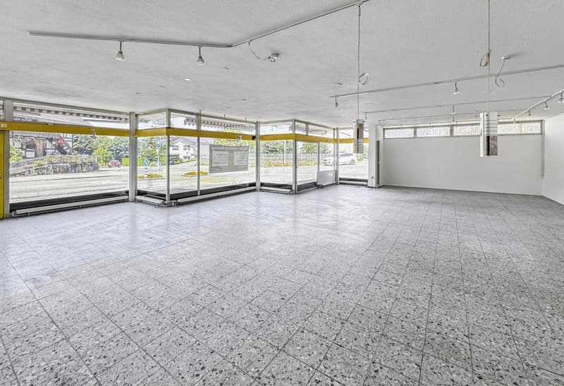 Residential and commercial building as an investment object with 7% return or self-use (26)