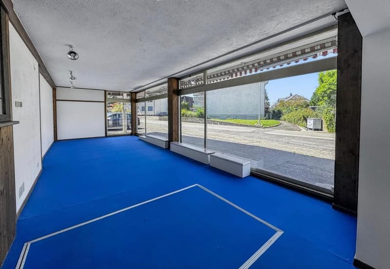 Residential and commercial building as an investment object with 7% return or self-use (29)