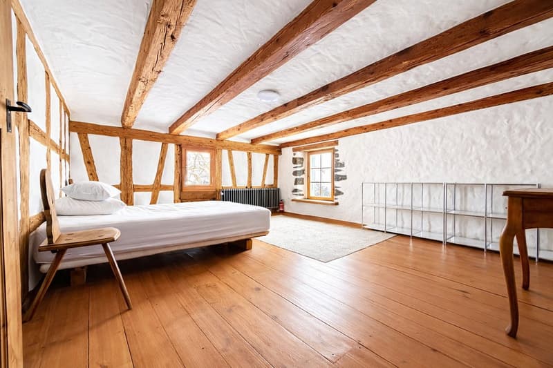 Disponibile temporaneamente: Affascinante casa colonica di 5,5 locali in una posizione tranquilla a Horgen (6)