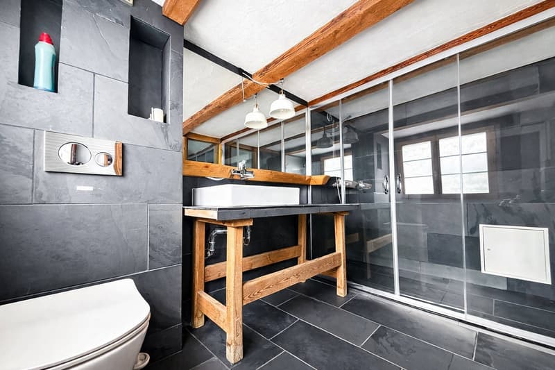 Disponibile temporaneamente: Affascinante casa colonica di 5,5 locali in una posizione tranquilla a Horgen (4)