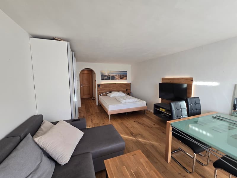 A room with a bed, couch, TV, dining table, and chairs.