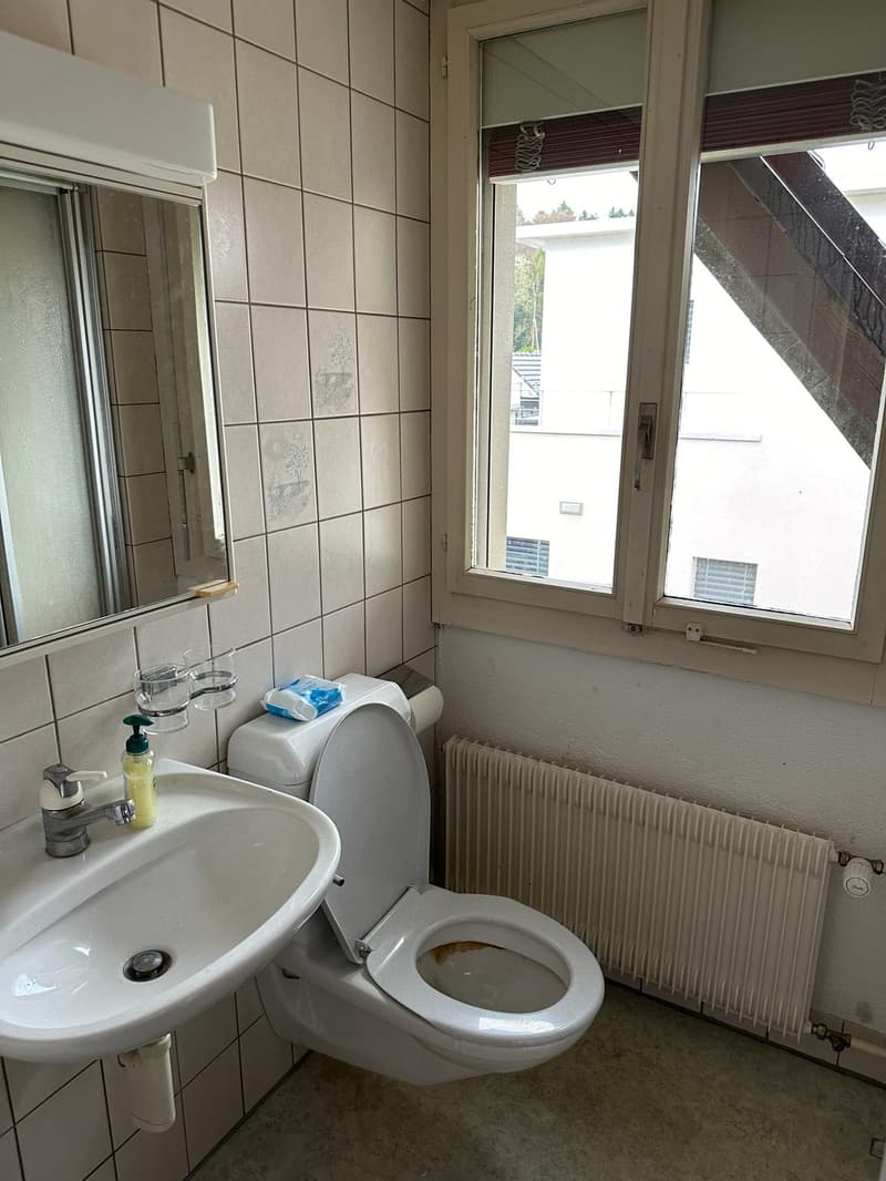 Bathroom with toilet, sink, mirror, and radiator