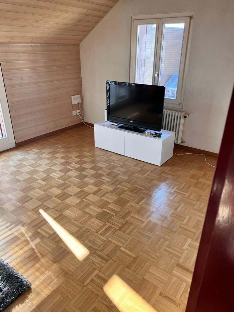 empty room, wooden floor, white walls, double doors, windows, flat screen TV, white cabinet, radiator