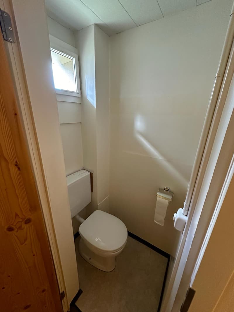 small bathroom with toilet, window, and toilet paper holder